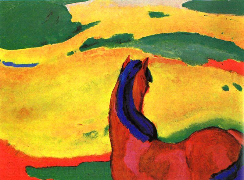 Franz Marc Horse in a Landscape